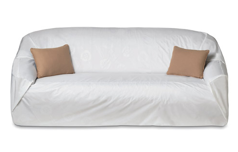 bed bugs